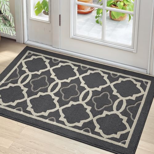 DEXI Dirt Trapper Door Mat 60 x 90 cm, Non-slip Entrance Rug for Indoor and Outdoor, Machine Washable Soft Floor Mat, Super Absorbent Front Door Mat Carpet, Charcoal