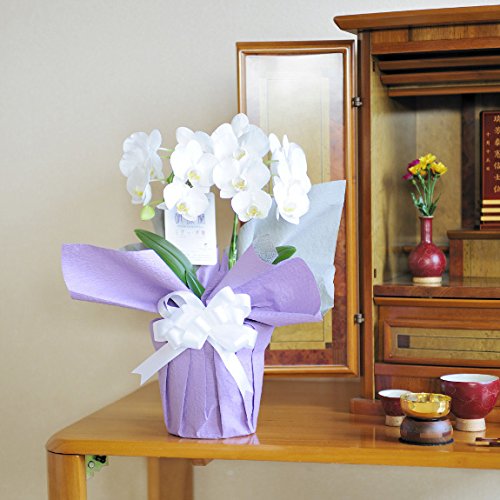 t[l~fBӒ 2{(14ֈȏ) ݉ Ԃ ԂɁ