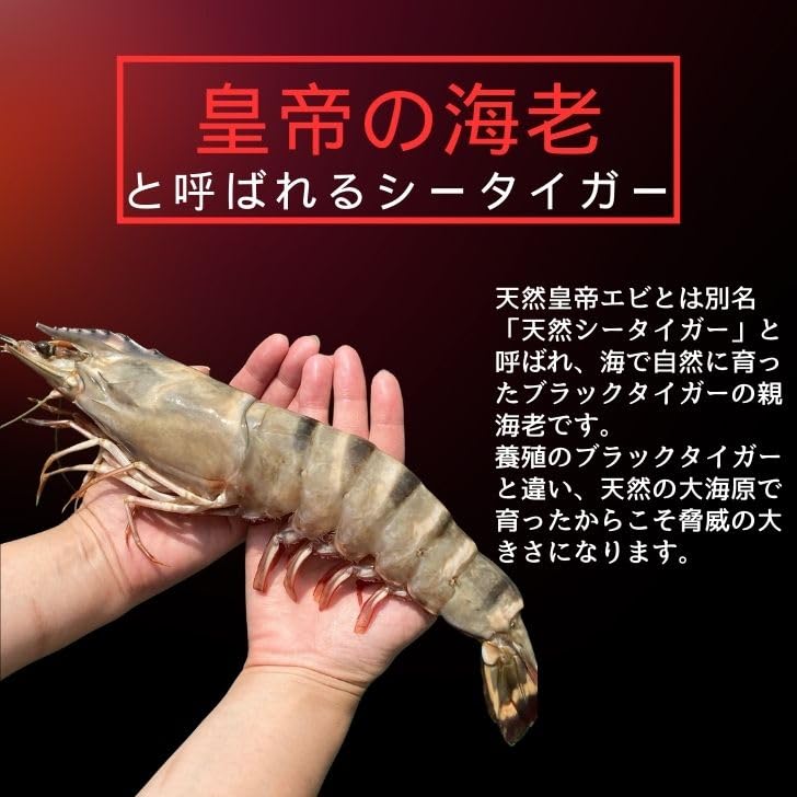 □☆天然ブラックタイガー海老☆ 1.5kg10尾入×3箱セット！ 超特大