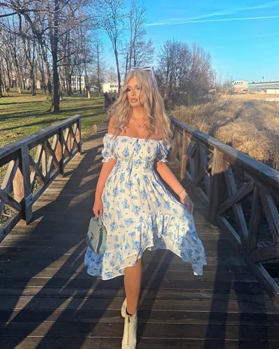 Image of Scarlet Darkness Corset Dresses for Women Summer 2026 Floral Wedding Guest Chiffon Sundress