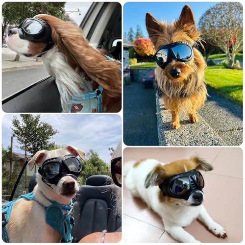 PETLESO Sonnenbrille für Hunde UV Hundebrille Einfach zu Tragen Schutzbrille für Hunde Modisches Haustierzubehör Motorradbrille für Kleine/Mittelgroße Hund