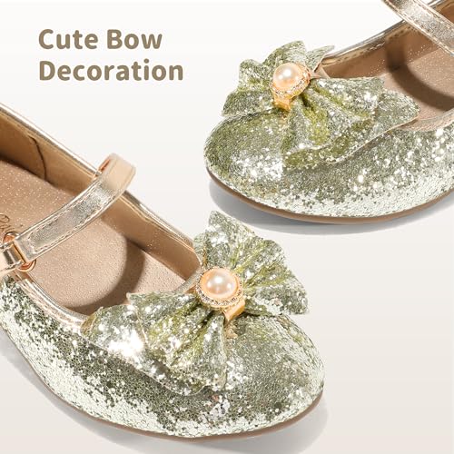 Image of DREAM PAIRS Girls Dress Shoes Princess Shoes for Toddler Little Girl Mary Jane Low Heels Glitter Flower Party Wedding Footwear