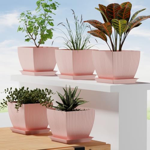 Image of HOMIFLY 5 Pack Plastic Square Flower Pots with Drainage & Bottom Tray /Lightweight, UV & Weather Resistant /6.5 Inch Planters for Indoor /Outdoor /Home /Balcony /Terrace /Garden Plant Pots (Baby Pink)
