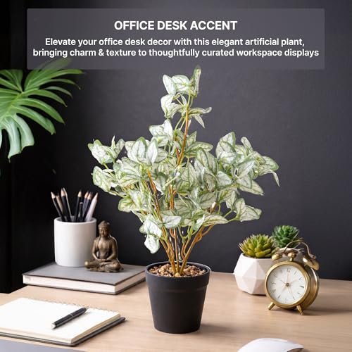 Image of Habere India-All the Cultures Fabricating India Arrowhead Artificial Plant with Pot for Home Decor | Small Fake Flower Plants for Living Room & Indoor Decoration (Design04: L9 x W9 x H40 cm)