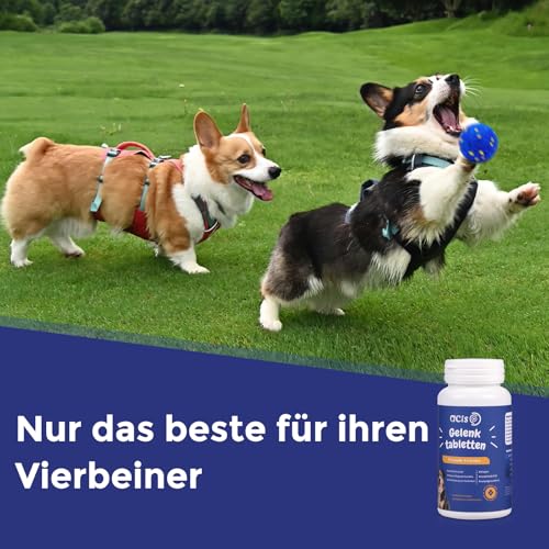Gelenktabletten für den Hund (180 Stück) – zur Gelenkunterstützung mit Chondroitin & Kollagen – halten sie ihren Hund gesund & beweglich – Hundeleckerli mit Milchcalcium