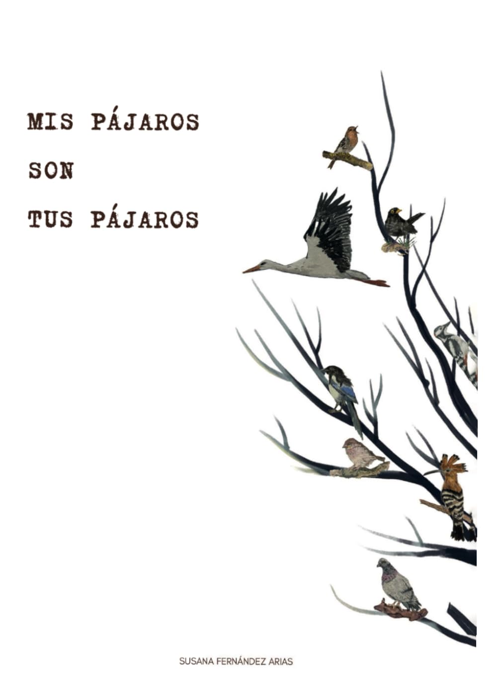 Mis pájaros son tus pájaros