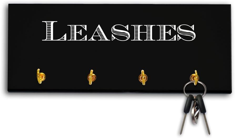 Sleek Black Key and Leash Hanger