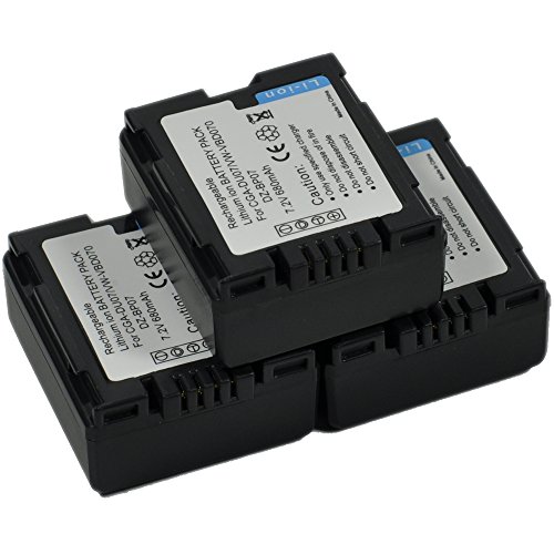 BTBAI Compatible dz-bp07 Battery for dz-bp07s dz-bp14 bp14s dz-bp16 dz-bp21 bp21s dz-bp28 dz-bp32 dz-bp7 bp7s Digial Video Camcorder (3X Battery)