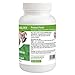 Only Natural Pet Immune Balance for Immune Support - Holistic Vitamin Dietary Supplement Formula for Dogs or Cats - 90 Capsules