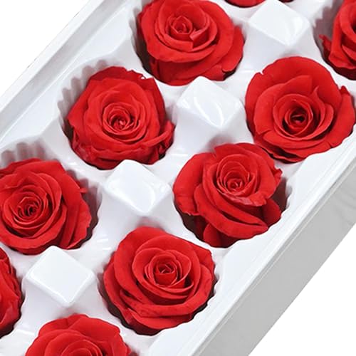 10 cabezas de flores de rosa secas eternas miniatura 2