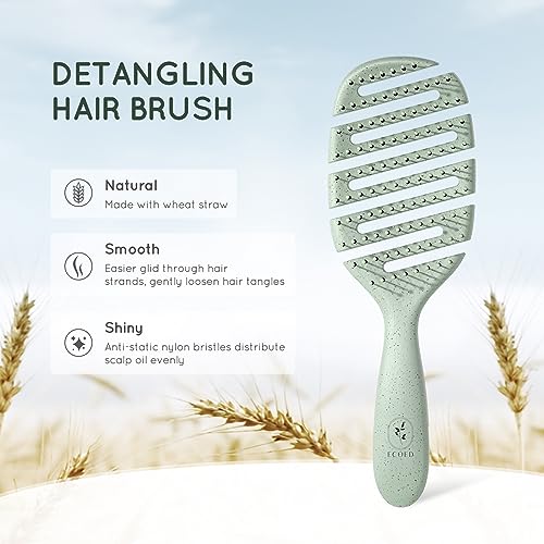 Ecoed Degradable Vented Hair Brush,Detangling Brush,Detangler Brush For Curly, Thick, And Straight Hair, Dry And Wet Detangling Quickly Detangles And Smooths Hair,Hair Brush For Women And Men. thumb #1