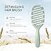 Ecoed Detangler Hairbrush, Soft Bristle Detangling Brush for Straight, Wavy, Curly and Fine Hair, Dry and Wet, Quick Smoothing for Women and Men, Eco-Friendly & Sustainable Material (Green)