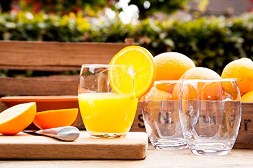 alpina Trinkgläser - Wassergläser Set 6 Stück - 350 ml - Spülmaschinenfest