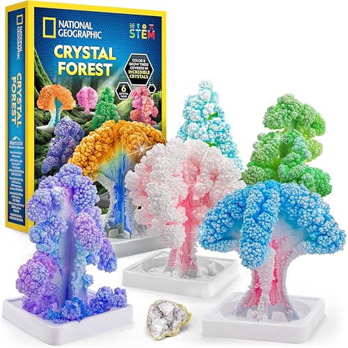 National Geographic Craft Kits for Kids...
