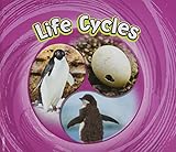 Cycles of Nature Pack B of 5 - Jaclyn Jaycox 