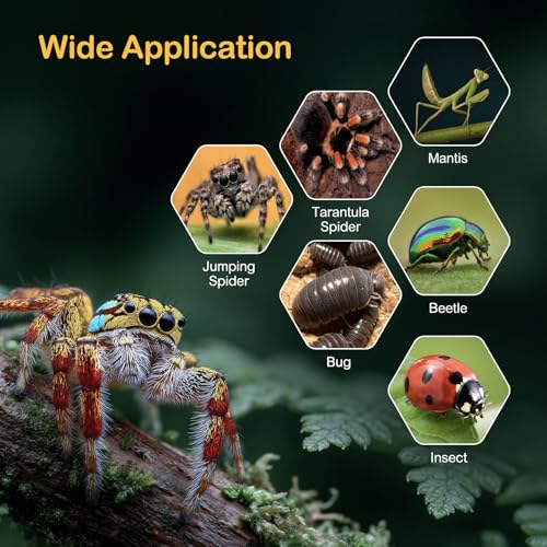 Image of Jumping Spider Enclosure Starter Kit,Escape Proof Ocean Terrarium | Praying Mantis Terrariums,Transparent Acrylic Complete Bug Habitat,All In One Arboreal Tarantula Cribs Cage,Insect Container