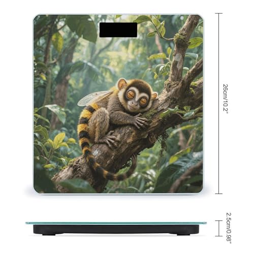 Báscula de Baño Digital Slow Loris LCD Vidrio Templado miniatura 2