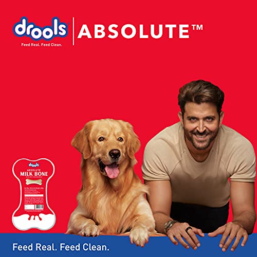 Drools-Absolute-Milk-Bone-Jar-Dog-Treats-For-All-Life-Stages-40-Pieces-600-g