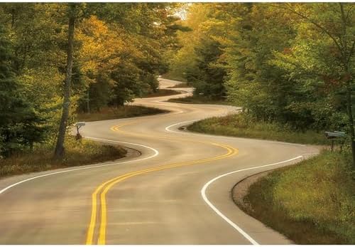 dnldliq 10x7ft Rural Road Backdrop Green Forest Tree Countryside Highway Photogr