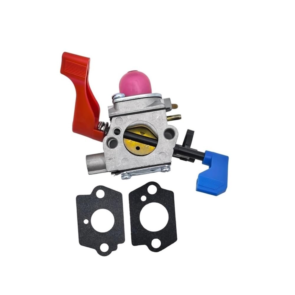 Carburateur 530071775 WT-784 résout démarrage difficile BV2000