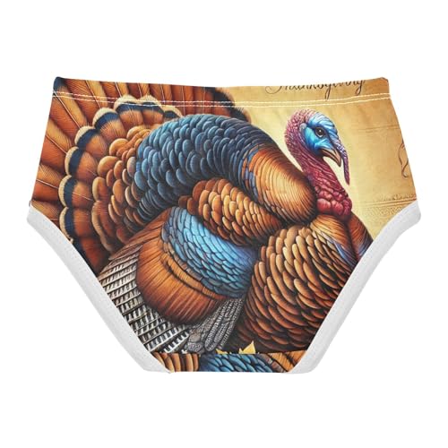 Durable Toddler Underwear Custom 2t Cotton Cute Panties Girl Thankful Thanksgiving Turkey Kids Undies Briefs2