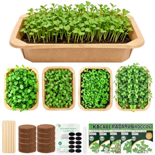 HiHOYA 5-Planter Complete Kit