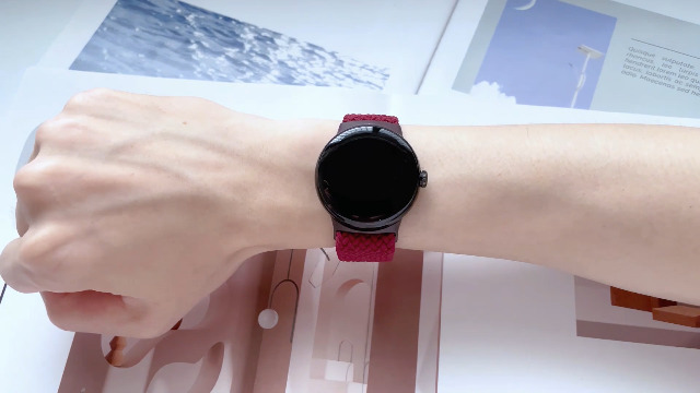 Correa trenzada magnética compatible Pixel Watch miniatura 7