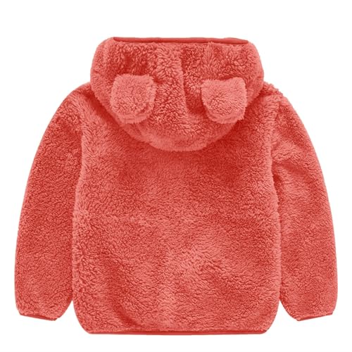 Girls Fleece Jacket 2025 Warm Winter Zip Up Soft Bear Ears Hoodie Cute Fuzzy Teddy Sweater Toddler Thicken Coats2