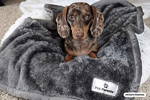 Pet Parents Pawtect Blanket, Premium Waterproof Cat & Dog Blanket with WickQuick & Sherpup Technology, Puppy Blanket… - Image 2