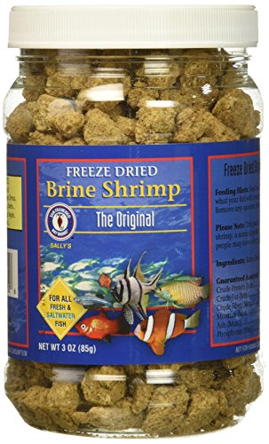 San Francisco Bay Brand ASF71130 Freeze Dried Brine Shrimp for Fresh and Saltwater Fish, 85gm