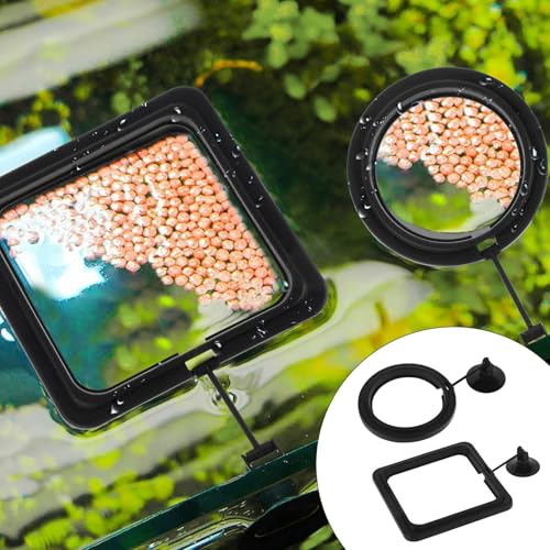 2 Pcs Futterautomat, Schwimmpflanzen Aquarium Futterring mit Saugnäpfen Schwimmende Pflanzenringe Wasserwechsel-Fischfutterspender Schwimmender Ring für Bettas, Goldfisch, Schildkröte (Schwarz)