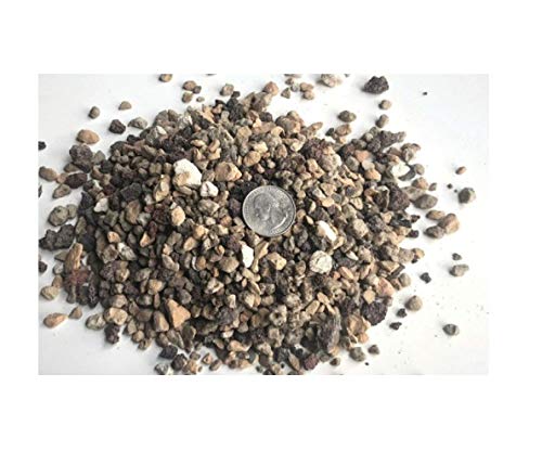 Organic Vs Inorganic Bonsai Soil