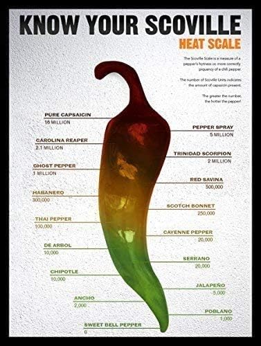 Letrero de hojalata nostálgica de Dtiny'S Know Your Scoville, placa de pared de metal retro, regalo novedoso para cocina, póster de estaño de 8 x 12