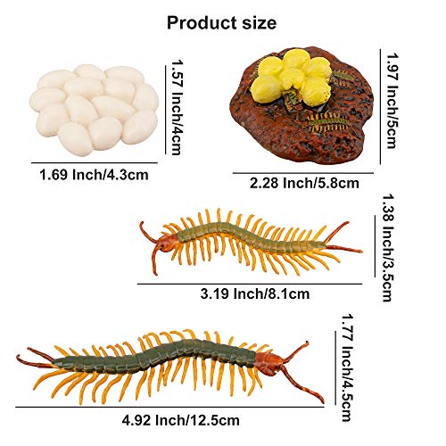 Toymany 16Pcs Life Cycle Of Chicken Hen Centipede Spider Mosquito Farm Animals Figure, Plastic Food Chain Animal Figurines Toy Kit Educational School Project For Kids Toddlers #TOP2
