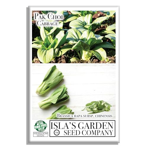 Pak Choi Cabbage Seeds for Planting, 500+ Heirloom Seeds Per Packet, (Isla's Garden Seeds), Non GMO Seeds, Botanical Name: Brassica rapa subsp. chinensi, Great Home Garden Gift