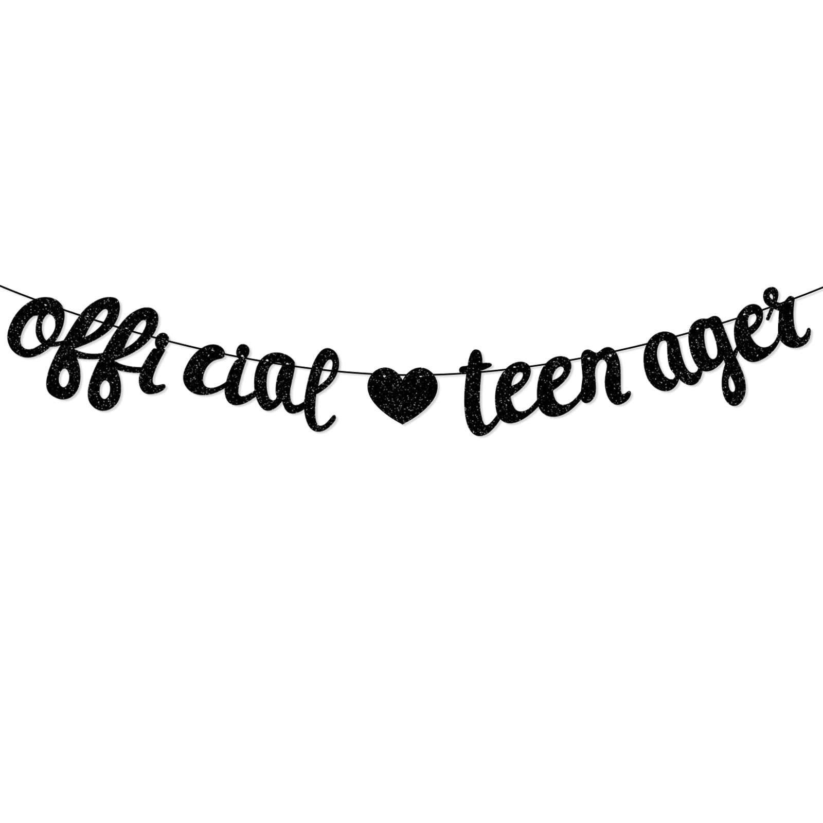 Official Teenager Bunting Banner Black for Boys 13th Birthday Decorations 13 Thirteen Years Old Teenager Birthday Party Favors Supplies Photo Backdrop