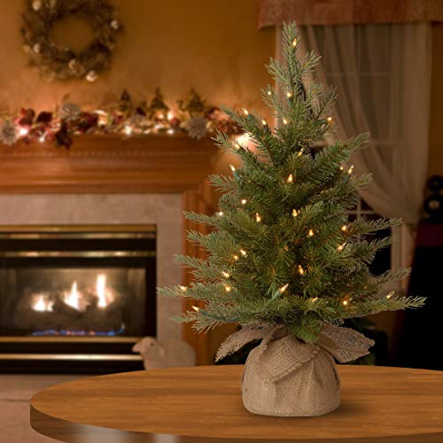 National Tree Company Pre-Lit 'Feel Real' Artificial Mini Christmas Tree, Green, Nordic Spruce, White Lights, Includes Burlap Bag Base, 2 Feet - Thumbnail 2