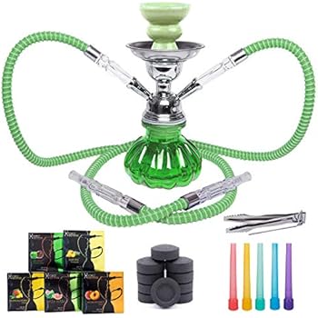 Hookah Pipe 2 Hose Hookah Set, Portable Mini Pumpkin Hookah Kit with Accessories, 5 Hydro Flavors, 5 Pack Coals (50 Charcoal Discs), 100 Disposable BPA Free Hookah Tips (Green)
