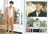 投稿写真 古村比呂 新井由美子 小幡洋子 星野ゆかり 菊池桃子 本田美奈子 荻野目洋子 斉藤由貴 井森美幸 河合その子 小泉今日子 歌手 ダンシングヒーロー 六本木純情 姉妹