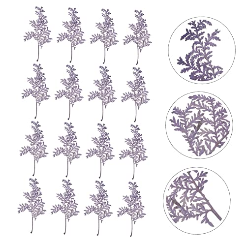 48 hojas prensadas naturales de artemisa para manualidades miniatura 2