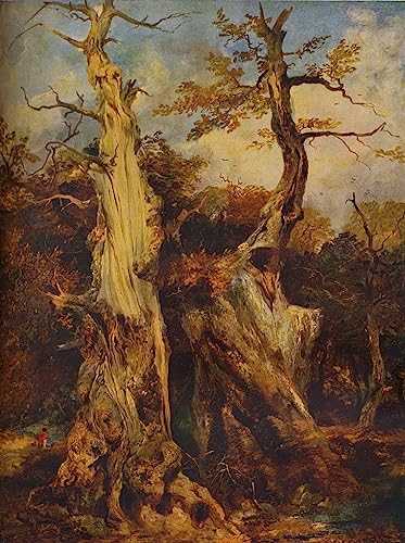 Art Tableau dans la forêt par un artiste célèbre impression sur toile en grand format 60x90cm