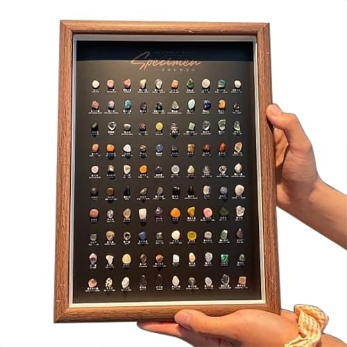 Natural Crystal Raw Stone Mineral Specimen Kit – Rock & Mineral Collection for Geology Enthusiasts, Educational Science Teaching Aid, Display Decor for Collectors (Walnut Finish)