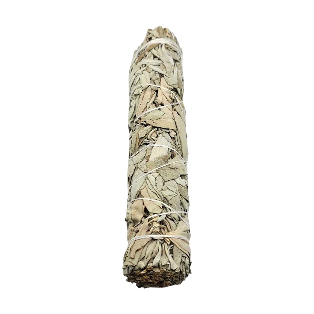 Wholesale Smudge Sticks, White Sage 8", Pack of 20