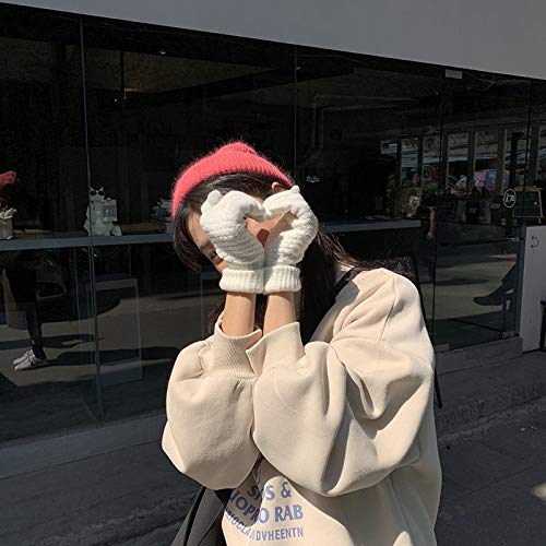 DYNWAVE Luvas de Inverno Masculino Feminino com Tela de Toque - Branco