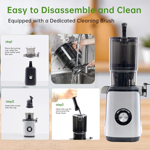 Image of NEWBULIG Cold Press Juicer Machines for Vegetables & Fruits, Silver | Slow Masticating Juicer Machine with Reverse Function, 4.25 inch Feed Chute, Stops Oxidation and Easy to Clean
