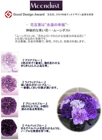 Amazon 母の日限定 フラワーショップヤーミー特選 サントリーの青いカーネーションの花束 ムーンダストmix 花束 オンライン通販