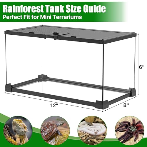Image of 12 inch x 8 inch x 6 inch Small Glass Reptile Terrarium Tank | Top-Opening Mesh Lid with Latch, Fully Assembled Enclosure for Tarantulas, Frog, Isopods and Small Reptiles