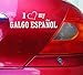 cartattoo4you® AI-01498 | I Love (als Herz) My Galgo Espanol | Autoaufkleber Aufkleber Farbe weiß, in 24 Farben erhältlich, glänzend, 20 x 7 cm, Waschstrassenfest, Motiv Copyright by dh-Folien