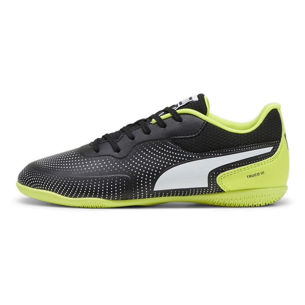 PUMA Puma