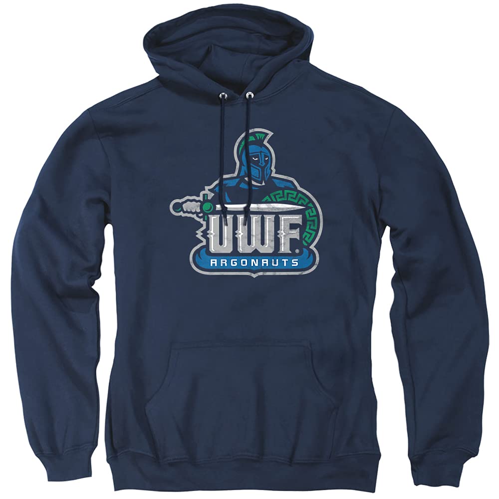 LOGOVISION Official Collegiate Distressed Primary Logo Adult Pullover Hoodie Collection — view 278